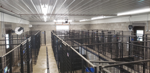 Kennel interior